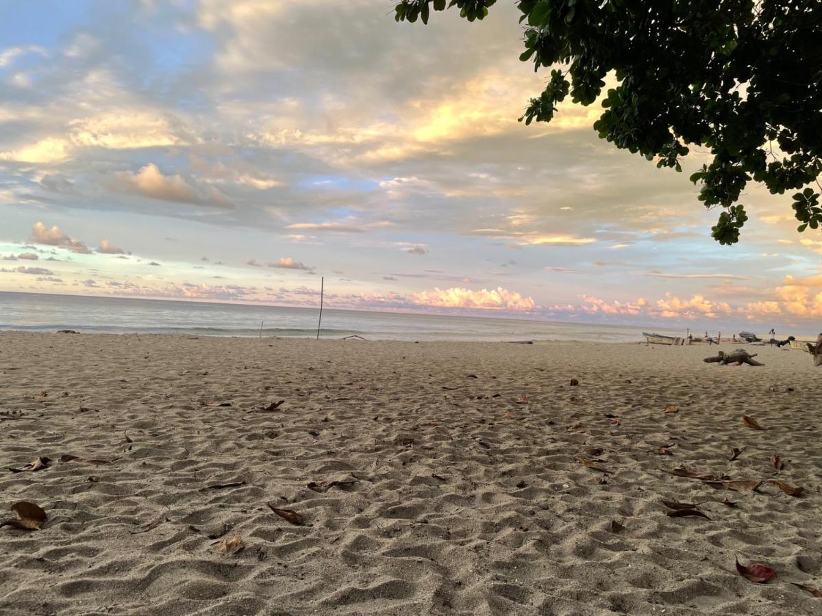 Guachaca Hostal Estrellas Del Tayrona Playa Mendihuaca מראה חיצוני תמונה