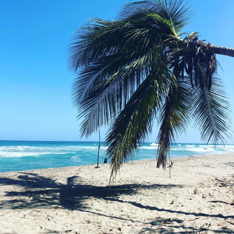 Guachaca Hostal Estrellas Del Tayrona Playa Mendihuaca מראה חיצוני תמונה